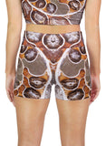 Argonaut Ammonite Active Shorts