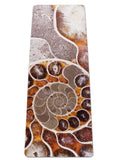 Argonaut Ammonite Yoga Mat